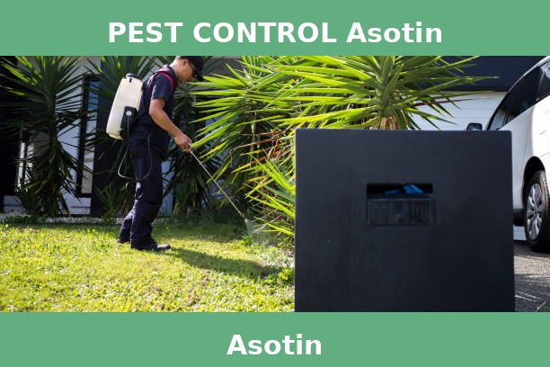 PEST CONTROL Asotin